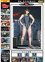 PMID-113 DVD Cover