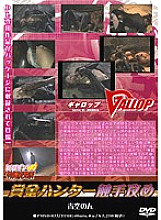 PMSD-033 Sampul DVD