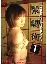 DKB-01 DVD封面图片 