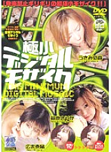 HKGV-001 DVD封面图片 