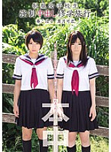 HNDS-017 DVD Cover