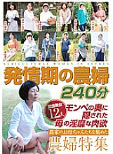 HRD-084 Sampul DVD