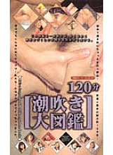 IKF-001 Sampul DVD