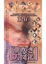 IKF-002 DVD Cover