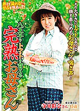 ISD-126 DVD Cover