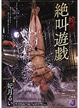 JBD-230 DVD Cover
