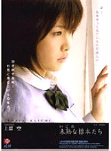 JBD-098 Sampul DVD