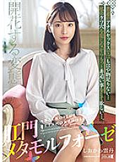 MISM-271 DVD Cover