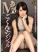 MVSD-251 DVD Cover