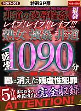 NDIT-001 DVD Cover