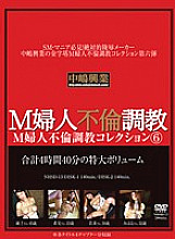 NHSD-013 DVD Cover