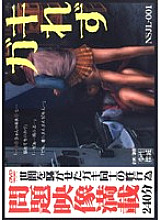 NSJL-1 Sampul DVD