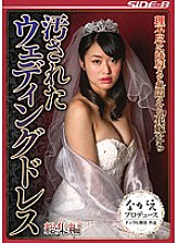 NSPS-490 DVD Cover