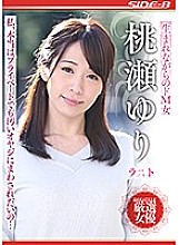NSPS-903 DVD Cover