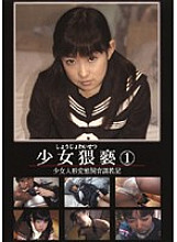 NTD-01 DVD Cover