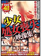 OGVL-001 DVD Cover