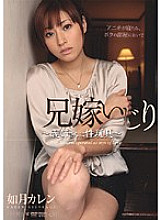 PGD-413 DVD Cover