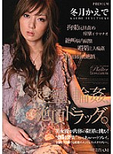 PGD-241 DVD Cover