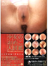 PMGV-001 DVD封面图片 