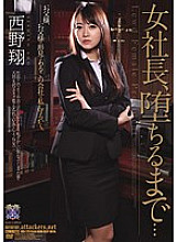 RBD-378 DVD Cover