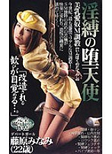 RZX-004 Sampul DVD