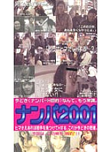 SFT-001 DVDカバー画像