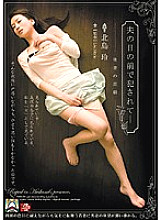 SHKD-336 DVD Cover