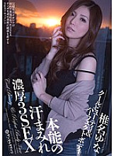 SMT-006 Sampul DVD