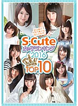 SQTE-127 DVD封面图片 