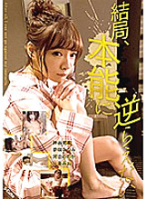 SQTE-258 DVD Cover