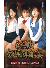 SSP-006 Sampul DVD