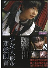 STD-03 DVD封面图片 