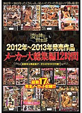STOL-009 DVD Cover