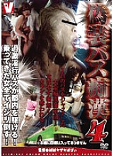 VICD-027 DVD Cover