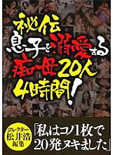 WAKA-205 DVD Cover
