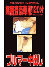 WAV-029 DVD Cover