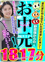 YASAI-004 DVD Cover